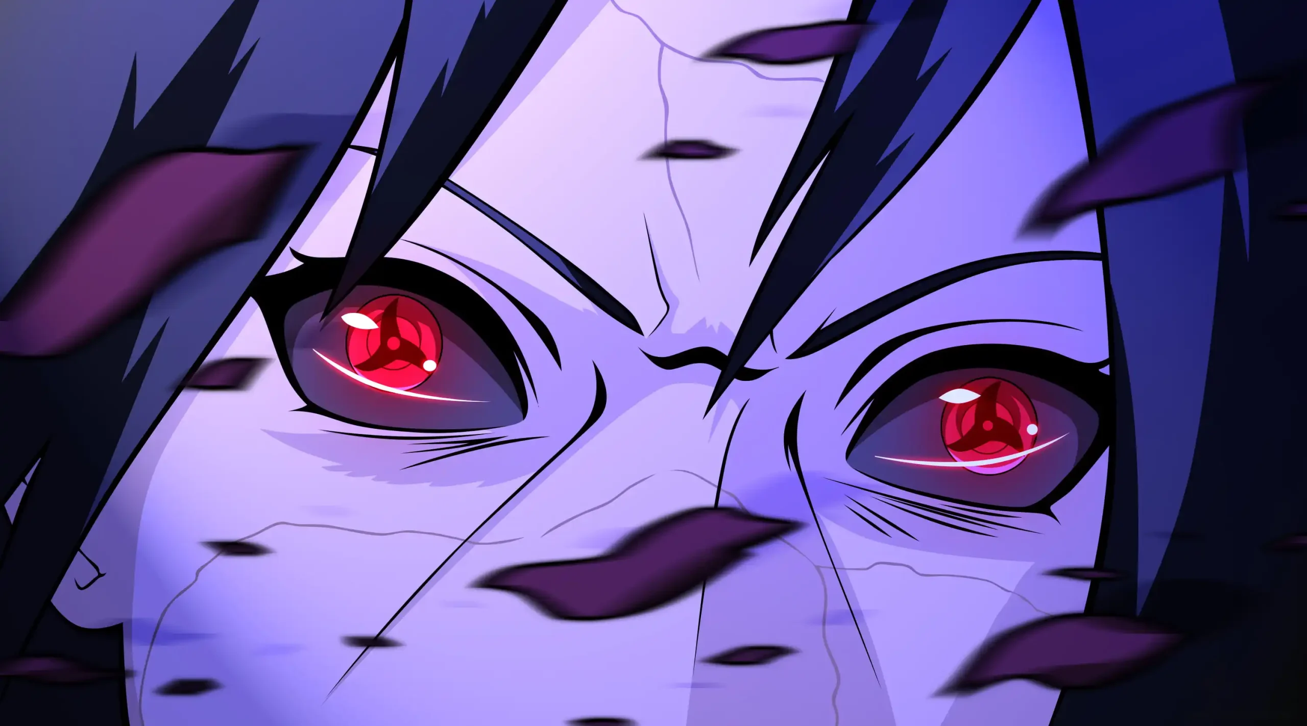 Spotlight Banner
